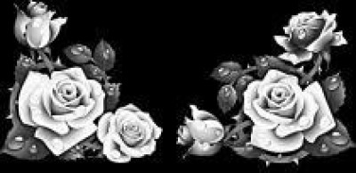 Гравировка четырех роз ЦВН17