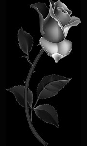 Гравировка цветка розы ЦВН19