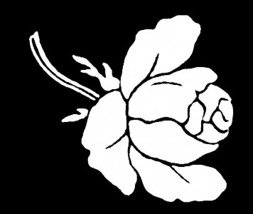 Гравировка розы ЦВ43