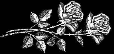 Гравировка двух роз на памятник ЦВ1